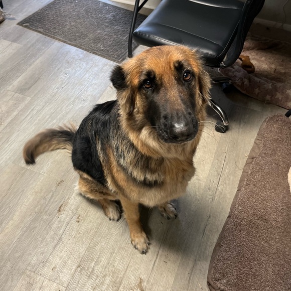 Meet your Posher, Jennifer - Picture 13 of 15